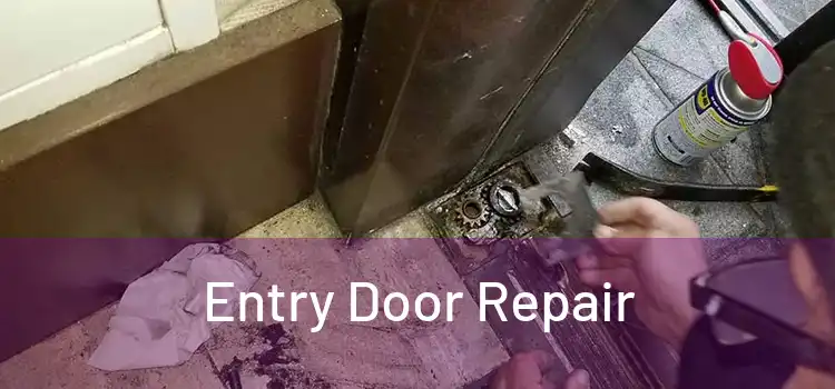 Entry Door Repair