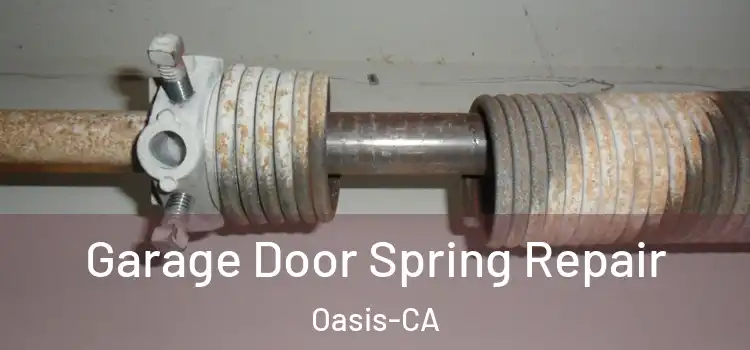 Garage Door Spring Repair Oasis-CA