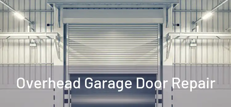 Overhead Garage Door Repair